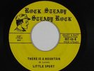 Reggae 45 LITTLE SPORT There Is A Mountain on Rock Steady