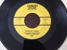 Danny's Reasons  Rare MN Garage Rock 45 Under My Thumb/ Triangles Carnaby VG+