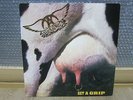 AEROSMITH - Get A grip One Vinyl LP 1993 INSERT