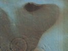 PINK FLOYD Meddle French LP HARVEST SHVL 795