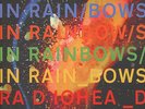 Radiohead - In rainbows Vinyl US LP