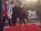 Vinyl Bee Gees - The Studio Albums 1967-1968  Sammler Box - 180g Vinyl