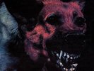 Protomartyr - Under Color of Official Right