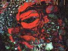 Warpaint-The Fool VINYL NEW