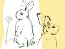 Beat Happening - Look Around (2LP)
