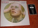 DAVID BOWIE Hunky Dory - limitierte Picture Disc auf RCA UK 1984 sehr rar