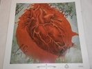 MASTODON Signed LITHOGRAPH ALL BAND MEMBERS Autographed Blood Mountain METAL
