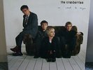 The Cranberries - No Need To Argue - Island Records - Gatefold - ILPS 8029 Lp