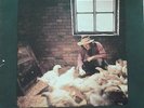 GORDON VERTIGO LP ORIGINAL RARE 1972 6360 069 UK GORDON WALLER SWIRL