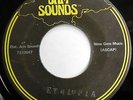 THE IN CROWD 45 Born In Ethiopia NEAR MINT Reggae DUB Jam Sounds PROMO w5420