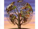 Talk Talk - Laughing Stock