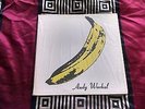 the velvet underground & nico original gatefold in shrink V6-5008