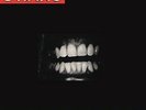 Swans - Filth LP - SEALED - NEW COPY