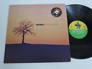 BAKMAK/OUT OF THE BLUE  LP 1976 TELDEC DECCA NOVA 6.22 677 AO