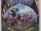 DEEE-LITE - DEWDROPS IN THE GARDEN 2LP 1994 ORIG ELEKTRA TOWA TEI TECHNO