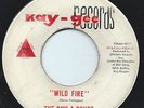 THE RUN-A-BOUTS 45RPM '64 KAY-GEE WILD FIRE OHIO SURF INSTRUMENTAL VG+/VG FLIP