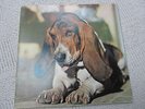 DUFFY JUST IN CASE YOU'R INTERESTED PROMO GERMAN ORIGINAL LP PROG/KRAUTROCK RAR
