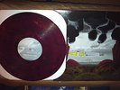 fall out boy from under the cork tree Maroon vinyl