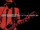 Jeff Buckley - Mystery White Boy 2x 180g vinyl LP NEW/SEALED Grace
