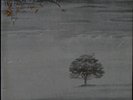 Genesis / Wind & Wuthering Rare Spain Gatefold LP Charisma 9124 003 Hatter
