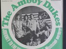 AMBOY DUKES: Journey To The Center Of My Mind / Mississippi Murderer 45 (Denmar
