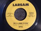 Rare Sweet Soul 45 The Toppiks Give It A Chance To Grow / Surrender Listen Hear