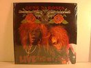 GUNS N' ROSES - LIES , lp album, IN SHRINK, EXCELLENT, NO BARCODE, SLASH, UZI