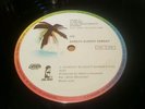 U2  SUNDAY BLOODY SUNDAY 12