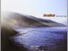 INCUBUS-MORNING VIEW VINYL LP NEW