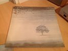 GENESIS WIND AND WUTHERING CHARISMA RECORDS UK VINYL LP+LYRIC INNER D2