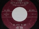 THE FOUR TEENS Go Little Go Cat/ Spark Plug 45 RPM Challenge RARE ROCKABILLY mp3