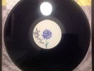 Cosmonauts Persona Non Grata Vinyl LP S/N TEST PRESSING Burger Garage Punk