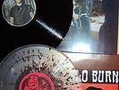 Slo Burn 10+LP Amusing the Amazing Queens of the Stone Age The Idiots Guide rar