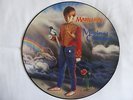 Marillion Misplaced Childhood 12