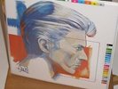 David Bowie FASHIONS 10 Vinyl Picture Disc Set ORIGINAL BOX  Ziggy Stardust NEW