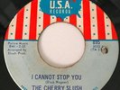 THE CHERRY SLUSH MICHIGAN MOODY GARAGE ON U.S.A RECORDS #895  I CANNOT STOP YOU