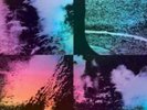Luke Abbott-Wysing Forest Vinyl / 12