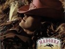Madonna Music 12