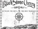 BLACK STONE CHERRY - BETWEEN THE DEVIL&THE DEEP BLUE S  VINYL LP HARD ROCK NEU
