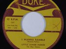 Blues Jump 45 LITTLE JUNIOR PARKER & BLUE FLAMES I Wanna Ramble DUKE VG+ HEAR