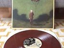 Hidden In Plain View - Life In Dreaming Vinyl LP NEW Bronze Rose /500 OOP