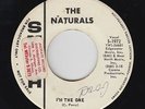 Northern/Sweet Soul 45 - Naturals - I'm The One - Smash - VG+ mp3