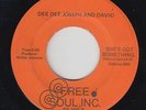 70s Soul 45 - Dee Dee Joseph & David - She's Got Something - Free Soul VG++ mp3