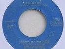 EMULATIONS Move a Little Slower Girl/Story of My Life soul 45 on Emulate *HEAR*