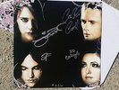 VERUCA SALT IV PURPLE VINYL LP Out Of Print signed by Louise Post, band numbered