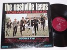 *EX* The Nashville Teens 
