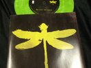 Coheed And Cambria Elf Tower Green Vinyl EP Not In Keeping Secrets Second Stage