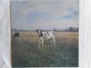 SCREAMING ABDABS PINK FLOYD DARK SIDE OF THE MOO LP original Trixie SYD BARRETT