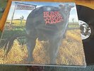 BLINK 182 DUDE RANCH BLACK VINYL LP RARE ON TOUR W/ GREEN DAY NOFX ALL TIME LOW
