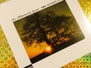 THE MOUNTAIN GOATS - Sunset Tree Vinyl LP - RARE - Out Of Print -SEALED +MP3